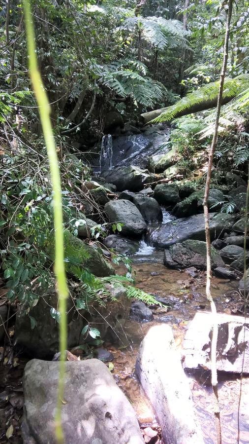 Sinharaja Forest Sanctuary Денияйя Экстерьер фото