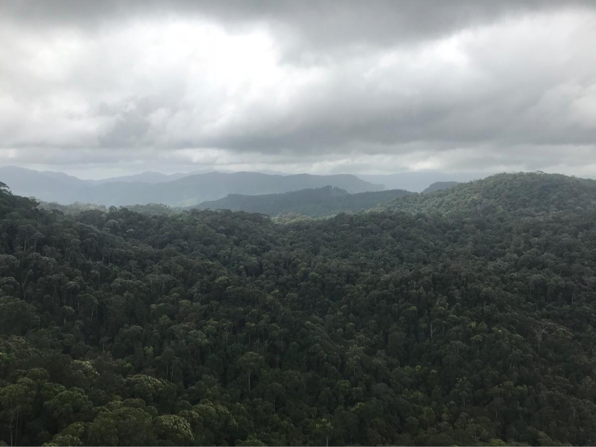 Sinharaja Forest Sanctuary Денияйя Экстерьер фото